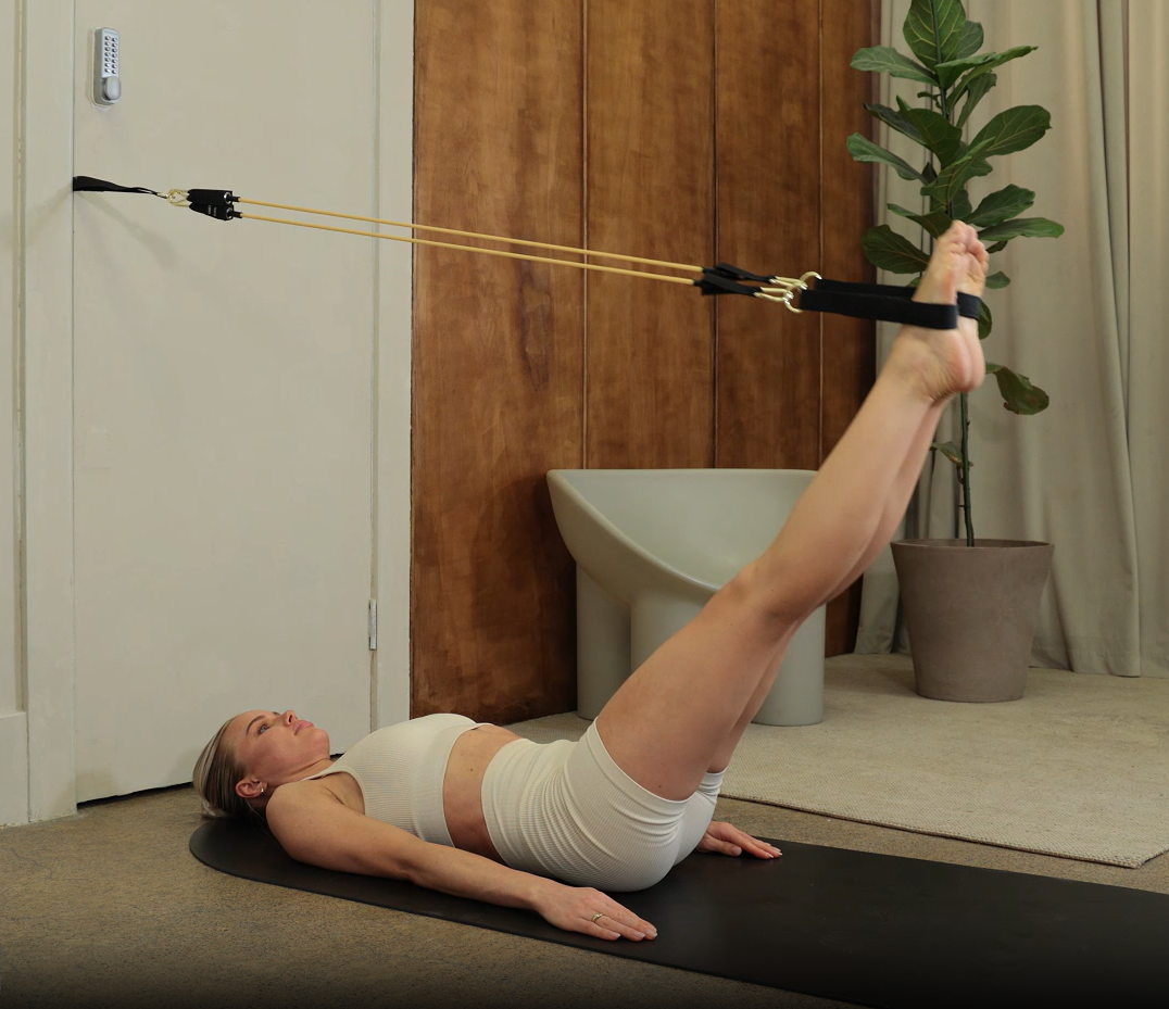 LEG LOWER